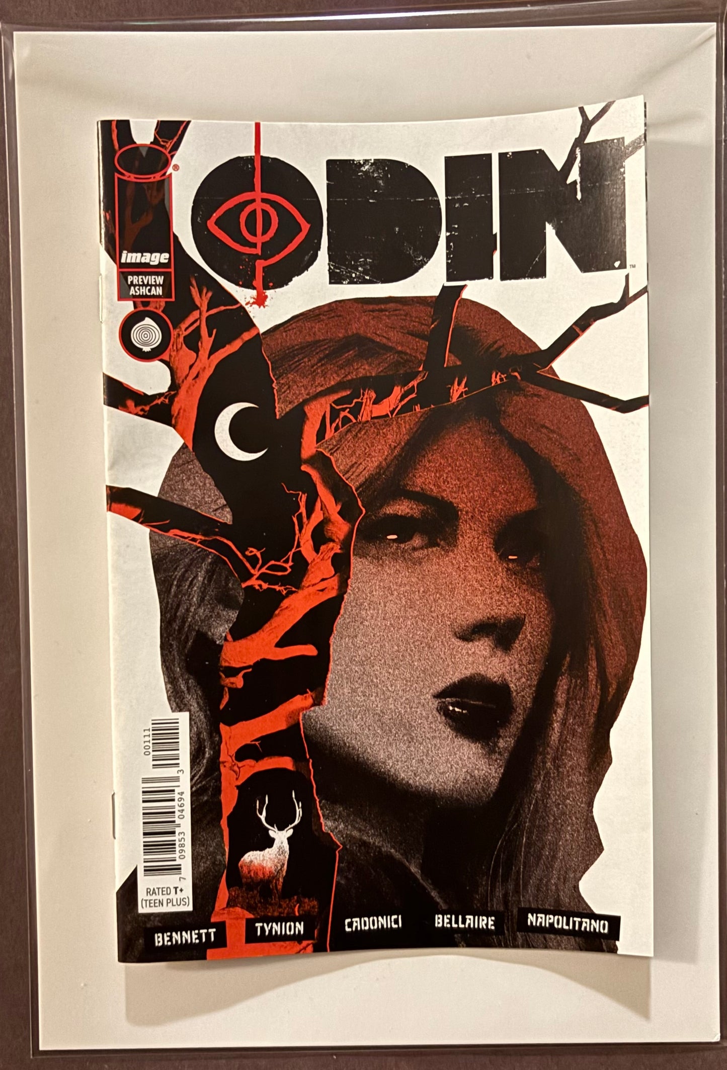 IF DESTRUCTION BE OUR LOT/ODIN #1 PREVIEW ASHCAN PROMO