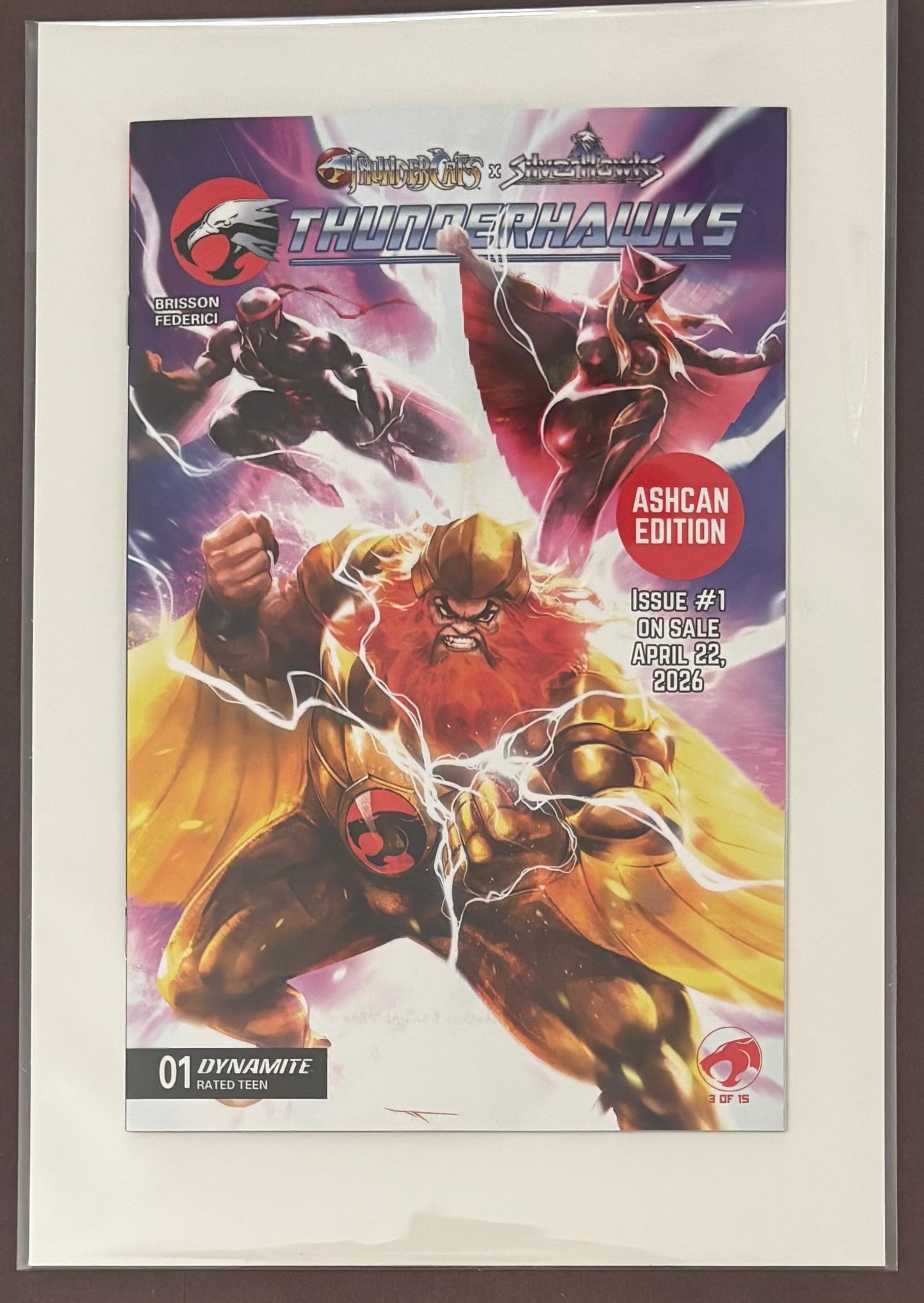 THUNDERCATS X SILVERHAWKS THUNDERHAWKS #1 ASHCAN
